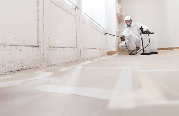24/7 Emergency Mold Remediation experts in Lexington, TX