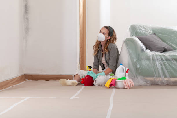 Reliable Mold Remediation contractor in Lexington, TX by WQB Mold Removal